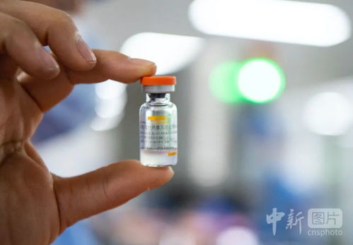 新冠疫苗原來長這樣,記者剛剛傳回的圖片
